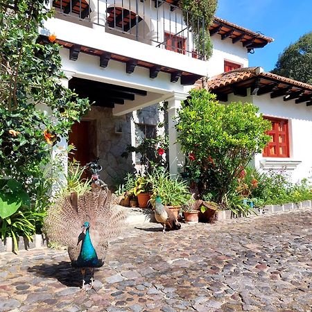 Hotel Y Jardines Casa Buho Antigua Eksteriør bilde