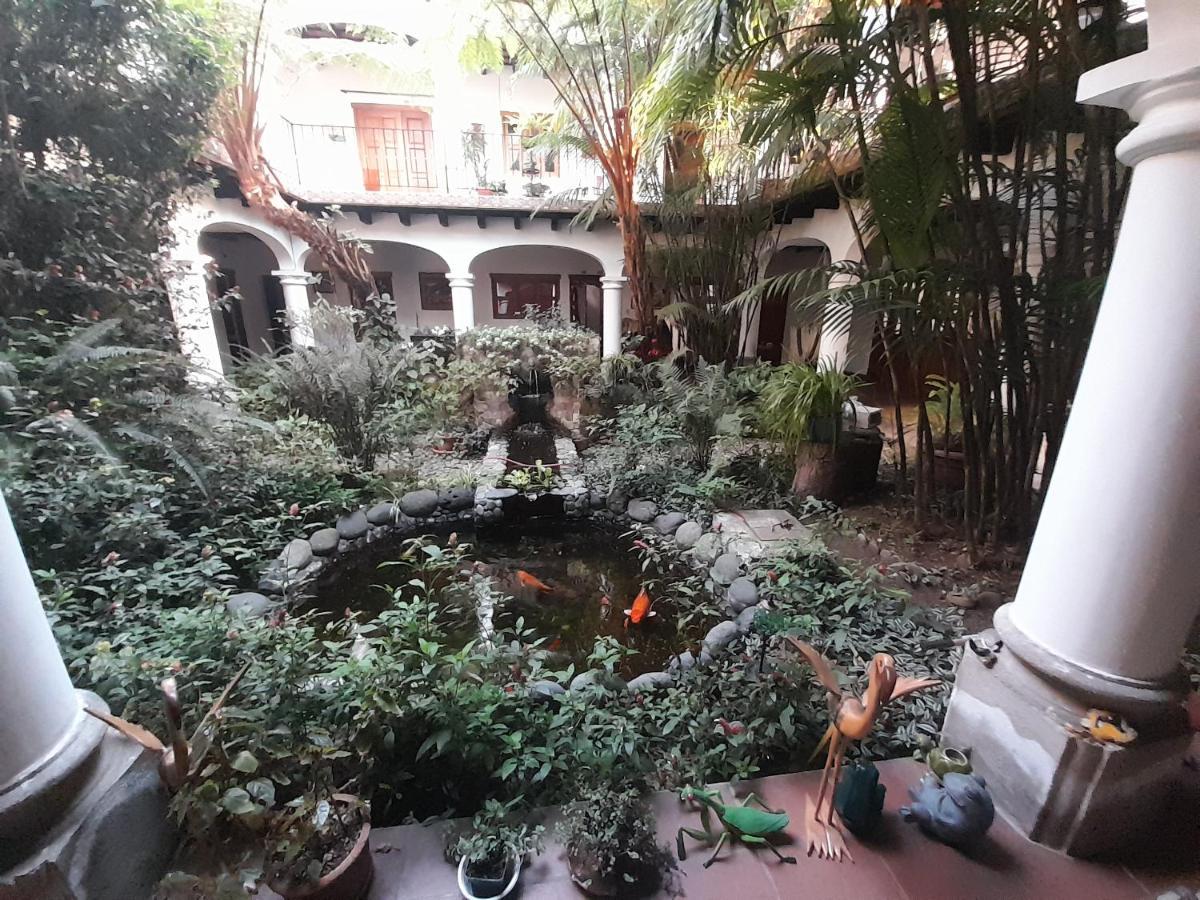 Hotel Y Jardines Casa Buho Antigua Eksteriør bilde