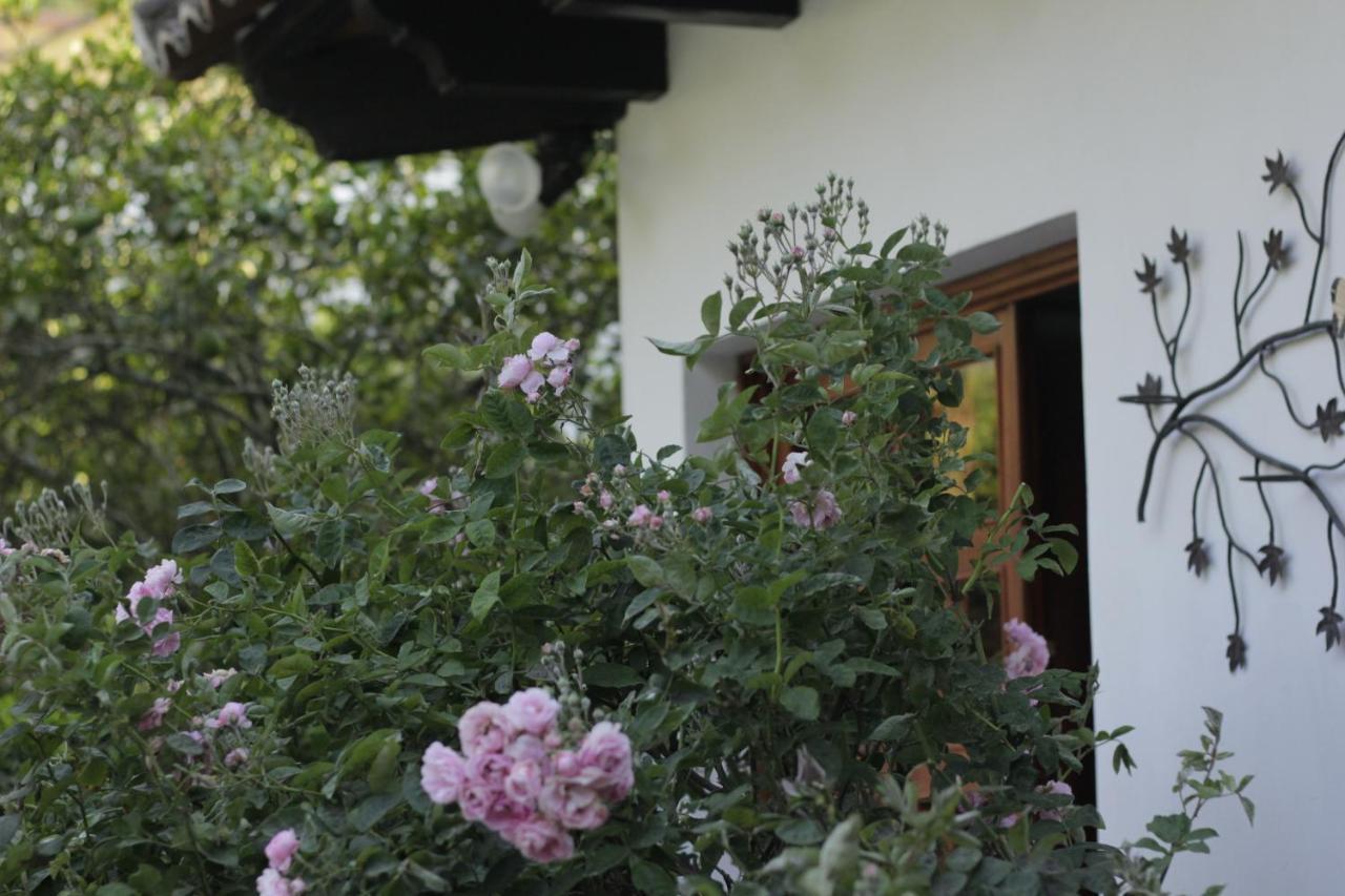 Hotel Y Jardines Casa Buho Antigua Eksteriør bilde