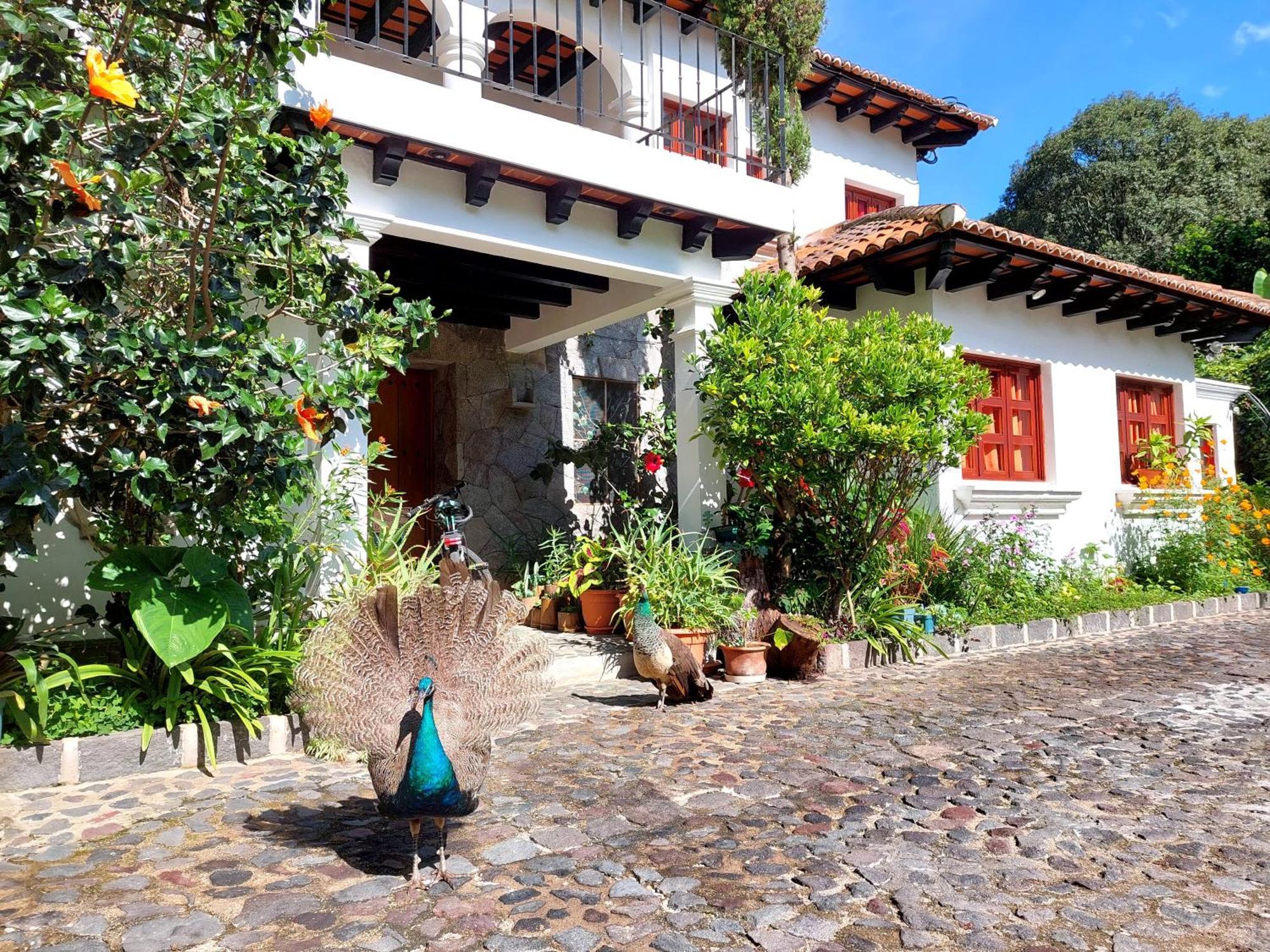 Hotel Y Jardines Casa Buho Antigua Eksteriør bilde