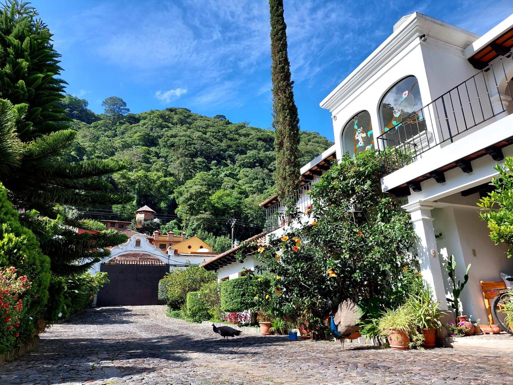 Hotel Y Jardines Casa Buho Antigua Eksteriør bilde